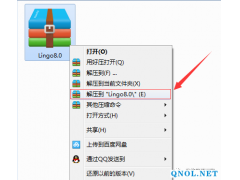 Lingo 8.0软件安装教程