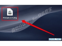 Principle 3.11安装教程