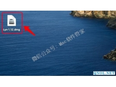 Lyn看图软件安装教程